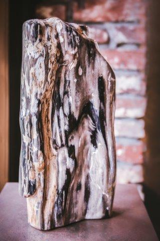 Petrified wood